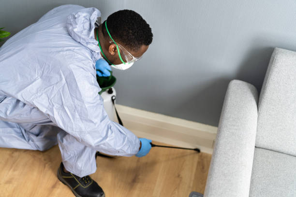 Best Residential Pest Control  in Twinsburg Heights, OH